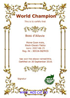  WCF - 