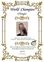  WCF - 