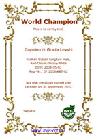  WCF - 