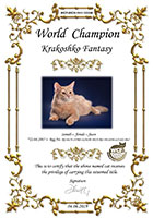  WCF - 