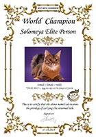  WCF - 