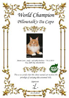  WCF - 