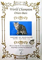 WCF - 