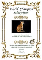  WCF - 