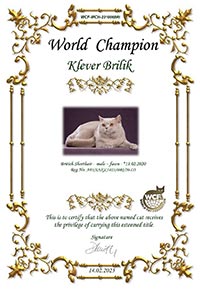  WCF - 