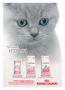   ROYAL CANIN
