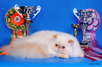 t_N1_DSC_6407.jpg