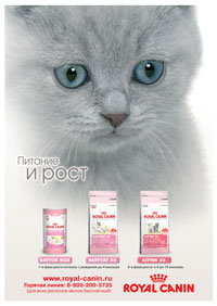   -    ROYAL CANIN