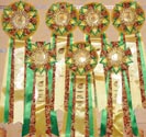      '-' 31  - 1  2013 . Best  