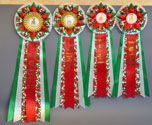      '-' 30  - 1  2013 .