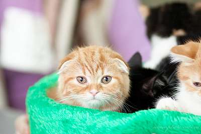   ' -'  22-23  2014 0_e2154_ed2b85e2_orig.jpg
