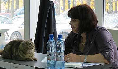 20.jpg