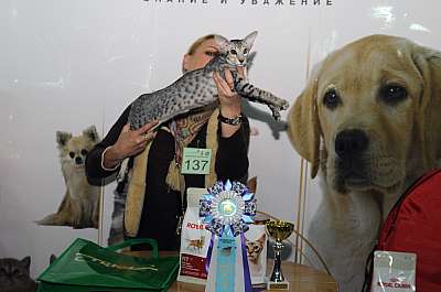   ' -'  22-23  2014 WCF- 137_DSC_0637r.jpg
