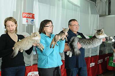   ' -'  22-23  2014 WCF- DSC_0603r.jpg
