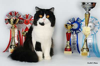   ' -'  22-23  2014 . 159_DSC_2114r.jpg