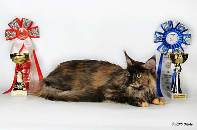   ' -'  22-23  2014 35_DSC_2122r.jpg