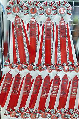   ' -'  22-23  2014 0_e20c9_54276332_orig.jpg