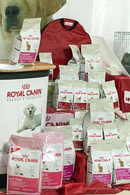   ' -'  22-23  2014 0_e20ca_5c60b7e1.jpg