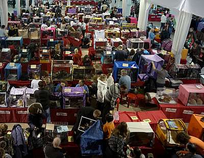   ' -'  22-23  2014 n20140222_114819-1.jpg
