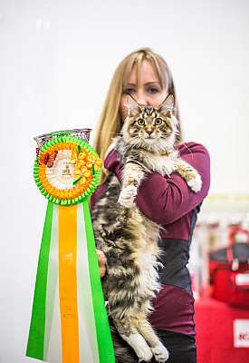   ' -'  5-6  2014 12-42-Best-Kitten-Opp-Sex_.jpg