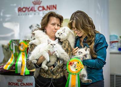   ' -'  5-6  2014 13-153-Best-Litter.jpg