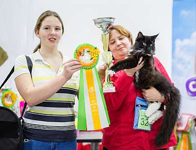   ' - 5-6  2014 12-32-Best-Kitten-Opp-Sex.jpg