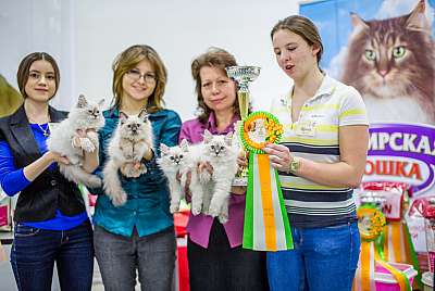   ' - 5-6  2014 13-153-Best-Litter.jpg