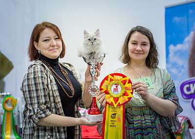   ' - 5-6  2014 15-128-Best-Baby.jpg
