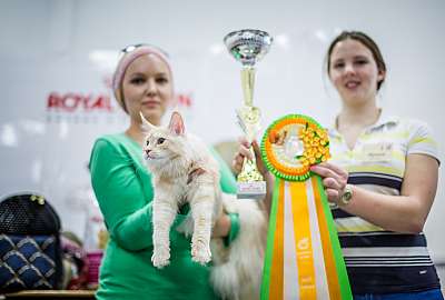   ' - 5-6  2014 9-146-Best-Junior.jpg