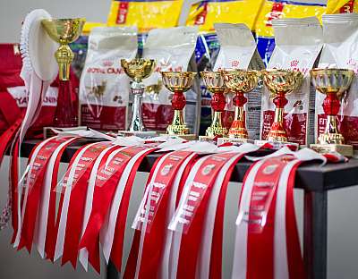   ' -'  5-6  2014   0-CatSalon-537.jpg