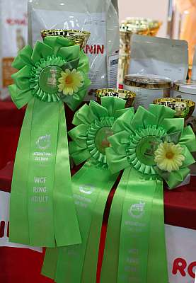   ' -'  10-11  2014 WCF- 169A3766-1.jpg