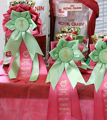   ' -'  10-11  2014 169A5776-1.jpg