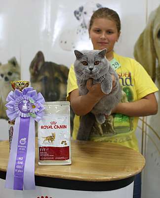   ' -'  10-11  2014 WCF- 4-129-169A5574.jpg