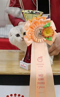   ' -'  10-11  2014 WCF- 1-116-169A5789.jpg