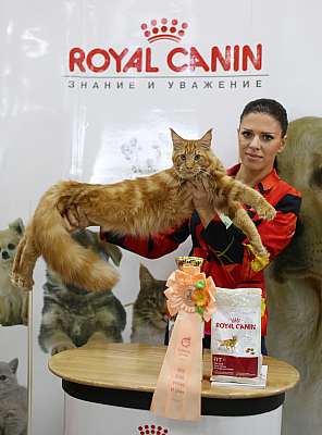  ' -'  10-11  2014 WCF- 6-9-169A5799.jpg