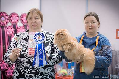   31  - 1  2015,   3-65-IMG_5061.jpg