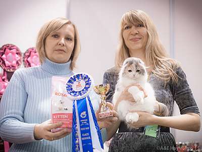   31  - 1  2015,   4-67-IMG_5055.jpg