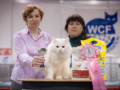   31  - 1  2015 WCF-  4-75-IMG_5536.jpg