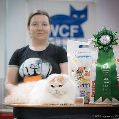   31  - 1  2015 WCF-  1-66-IMG_7414.jpg