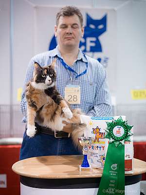   31  - 1  2015 WCF-  2-28-IMG_7416.jpg