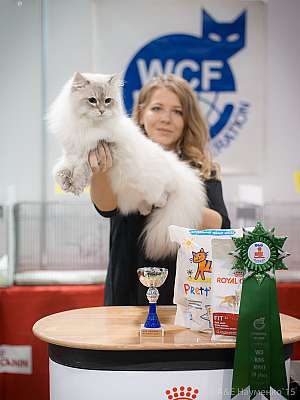   31  - 1  2015 WCF-  3-159-IMG_7418.jpg