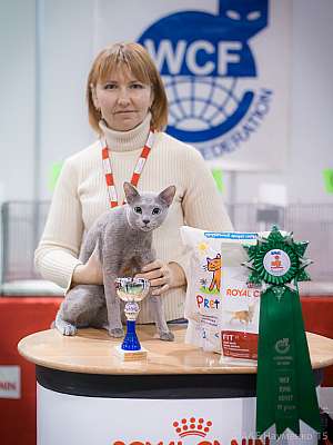   31  - 1  2015 WCF-  4-122-IMG_7420.jpg