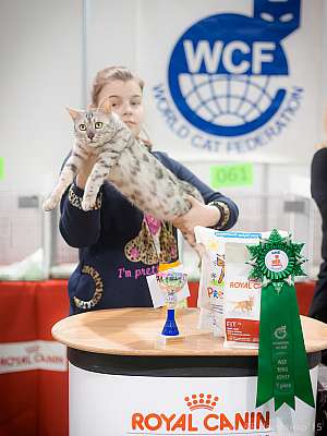   31  - 1  2015 WCF-  5-122-IMG_7422.jpg