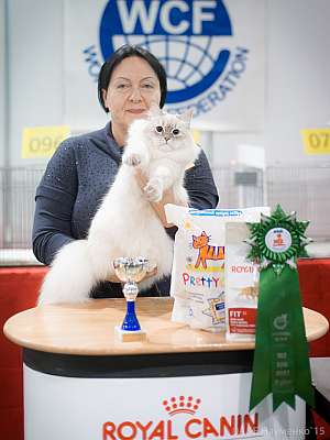   31  - 1  2015 WCF-  6-69-IMG_7425.jpg