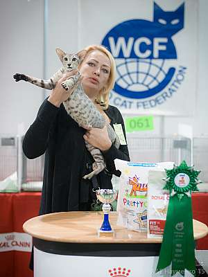   31  - 1  2015 WCF-  7-142-IMG_7426.jpg