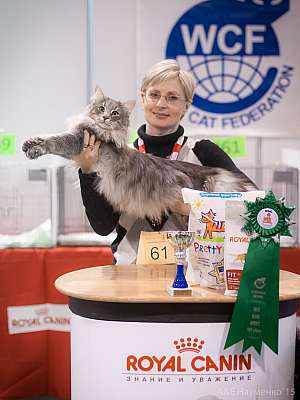   31  - 1  2015 WCF-  8-61-IMG_7429.jpg