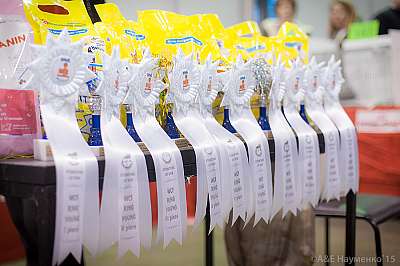   31  - 1  2015 WCF- 0-IMG_5767_900.jpg