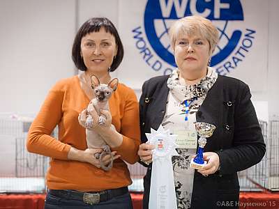   31  - 1  2015 WCF- 10-163-IMG_5871.jpg