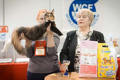   31  - 1  2015 WCF- 2-26-IMG_5872.jpg