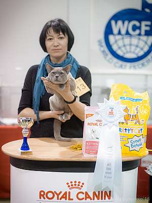   31  - 1  2015 WCF- 7-113-IMG_5886.jpg